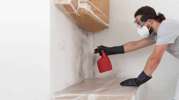 Professional Bathroom Mold Removal technician working in Belle Plaine, MN